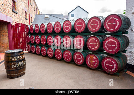 Botti accatastate presso la Old Bushmills Whiskey distilleria Bushmills, Irlanda del Nord, Regno Unito Foto Stock
