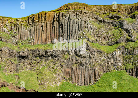 Colonne di basalto in scogliere vicino Il Selciato del gigante, da Causeway Coast sentiero, County Antrim, Irlanda del Nord, Regno Unito Foto Stock