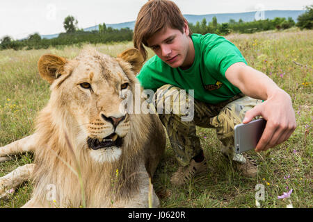 Un Lion pone per la fotocamera. Splendide immagini che mostrano la feroce Lions e intrepido uomo seduto sulla parte superiore di ogni altro in un campo sono stati catturati da un fotografo sorpreso. La surreale immagini mostrano il 418-pound lions accogliere i loro compagni umani come sono lieto di posare per selfies, baciate sulla bocca e un leone bianco raggiunge anche fuori una zampa aiuta a un uomo a nuotare in un stagno. Altre immagini mostrano il Lions salutare con affetto le persone dalle loro auto e in una incredibile immagine, un uomo coraggiosamente mette il suo braccio nella bestia la bocca di posa per la fotocamera. Le spettacolari immagini Foto Stock