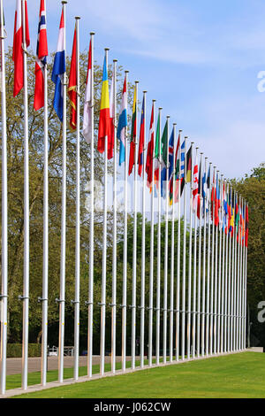 Bandiere di paesi europei in prossimità del Consiglio d Europa a Strasburgo, Francia Foto Stock