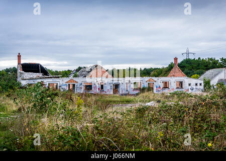 Il Galles, UK: EERIE immagini hanno rivelato i resti dei ragazzi deserta villaggio costruito per i figli dei minatori che sorge nel testamento di un perso valli gallesi modo di vita.Queste impressionanti immagini, girato con una Nikon D3100 da un anonimo esploratore urbano, vicino al West Aberthaw nel Vale of Glamorgan, mostrano le macerie degli isolati ex holiday camp che si è aperta il 8 agosto 1925 ed è stato inoltre svolto un ruolo nel WW2. Altre fotografie cava visualizzare la ricoperta di erba dei campi circostanti il camp, come pure la colorata arte dei graffiti spruzzato in tutto l'edificio camp. mediadrumworld.com Foto Stock