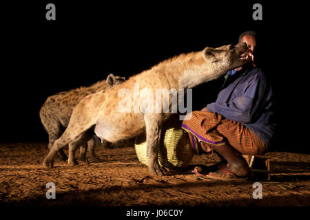 HARAR, ETIOPIA: nuovo 'Iena Man' Abbas Saleh con una iena. Soddisfare le incredibili Iena Uomo di Harar che è ora di passare il suo titolo sul suo figlio dopo trenta anni di essere i migliori amici con un clan di queste bestie carnivore. Le immagini mostrano un giovane erede la iena uomo titolo seguendo la tradizione secolare di proteggere il suo popolo da possibili attacchi da parte di iene mediante alimentazione con calma Questi decontaminanti selvatici. Lo fa in modo completamente libero da qualsiasi tipo di paura che si possa associare con essendo questa stretta in Africa il più prolifico carnivoro. Iene sono stati noti per attaccare e uccidere esseri umani, ma come questi r Foto Stock