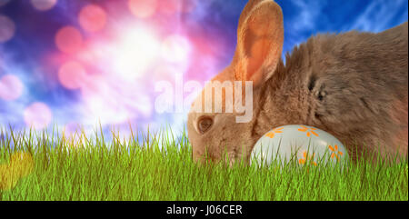 Bunny con motivo floreale uovo di pasqua contro la vista del cielo blu Foto Stock