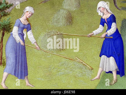 "Les Très Riches Heures du duc de Berry juin fieno" raffigura una serena scena di fienagione a giugno, come parte del famoso manoscritto miniato dei Fratelli Limbourg. L'opera cattura la semplicità della vita rurale nella Francia medievale durante il XV secolo. Foto Stock