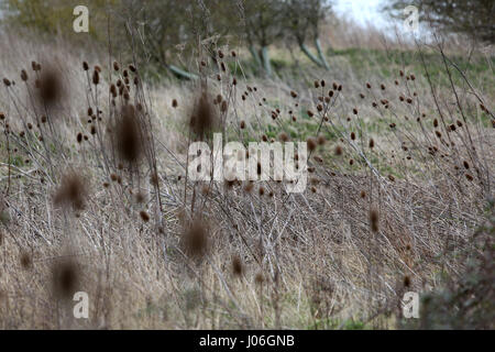 Porto Pagham Visitor Center, Selsey Road, Sidlesham, UK. Viste generali della RSPB gestito Porto Pagham Riserva Naturale. Foto Stock