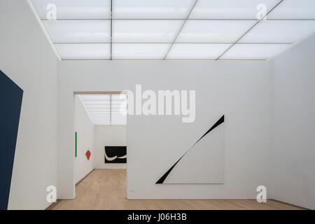 Spazi fieristico con Ellsworth Kelly opere d'arte. Museo Voorlinden, Wassenaar, Paesi Bassi. Architetto: kraaijvanger architetti, 2016. Foto Stock