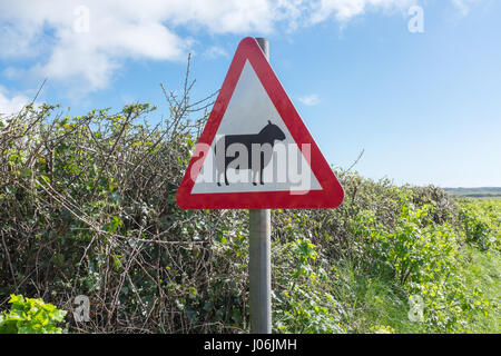 Segno di avvertimento di pecora su strada Foto Stock