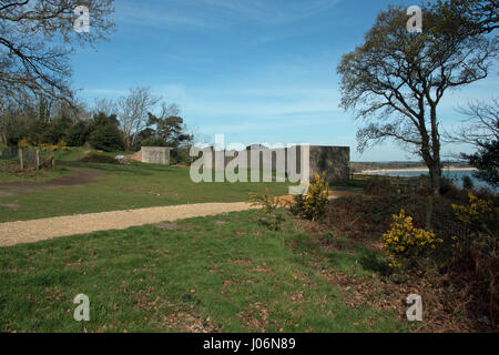 Fort Henry, WW2 calcestruzzo bunker di osservazione, costruito dalla canadese Royal Engineers, affacciato sulla Baia di Studland. Foto Stock