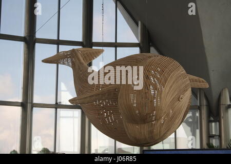 Gigante, sospeso, balena in legno presso l'Oceanografo, Città delle arti e delle Scienze di Valencia, Spagna Foto Stock