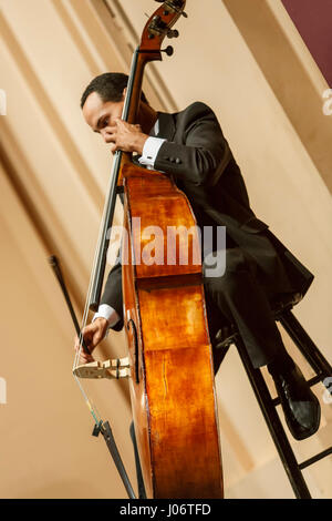 Bass player, Puerto Rico Symphony Orchestra, Luis A. Ferre Centro di Arti dello Spettacolo (Bellas Artes, San Juan, Puerto Rico Foto Stock