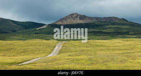 Country Road passando attraverso il paesaggio, Bison Paddock, Parco Nazionale dei laghi di Waterton, Southern Alberta, Alberta, Canada Foto Stock