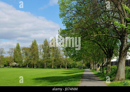 Markfield (Park, Sud Tottenham, Londra UK, in primavera Foto Stock