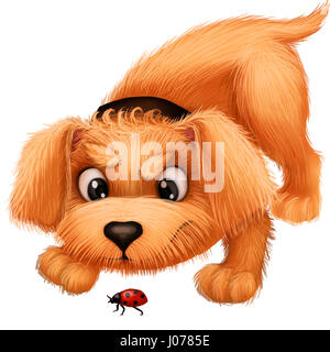 Piccolo grazioso cucciolo Peloso - Cartoon animale mascotte di carattere giocando con coccinella Foto Stock