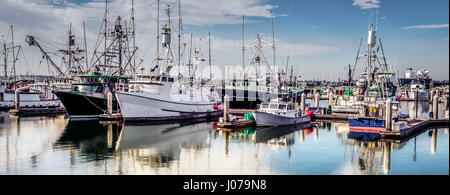 Un Southern California flotta peschereccia seduti in un marina. Foto Stock