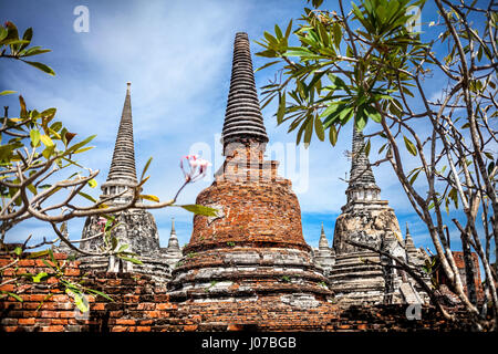 Grande Stupa in rovina a Wat Si Sanphet Ayuttaya nella storica capitale della Thailandia Foto Stock