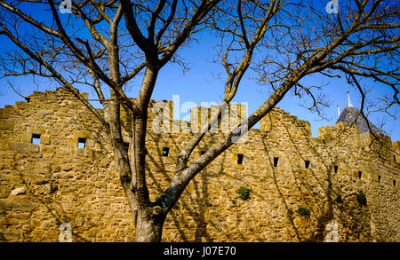 La mattina presto sole primaverile sguardi attraverso le pareti del Château Comtal entro il medievale Cité de Carcassonne, Francia Foto Stock