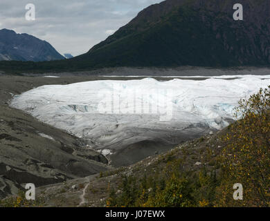 Radice panorama sul ghiacciaio Foto Stock