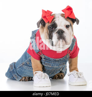 Adorabile cucciolo femmina indossando jean tuta e maglietta rossa Foto Stock