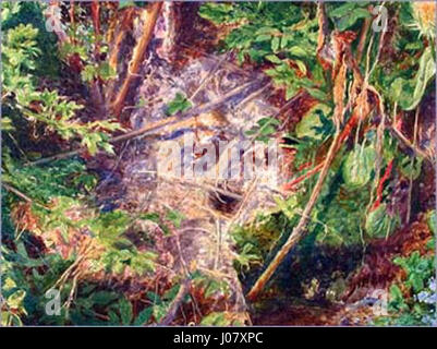 John Everett Millais, Ofelia (1851E280931852, cranio dettaglio) Foto Stock