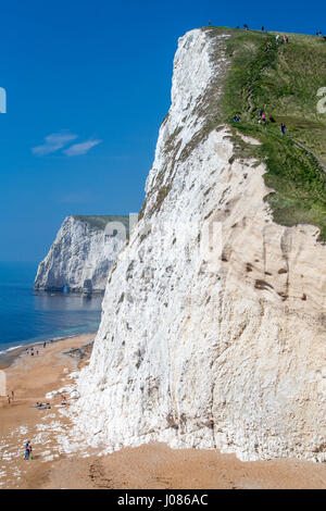 Testa Swyre, bat la testa e bat foro dell'arco, Jurassic Coast Sito Patrimonio Mondiale, Dorset, England, Regno Unito Foto Stock