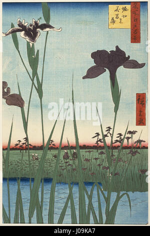 Utagawa Hiroshige I, pubblicato da Uoya Eikichi - Horikiri Iris Garden (Horikiri no hanashōbu), dalla serie di un centinaio di famose vedute di Edo (Meish... - Foto Stock