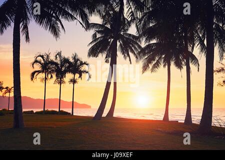 Silhouette di palme sulla spiaggia al tramonto da favola. La vacanza estiva e il concetto di viaggio. Isola del Borneo, Malaysia. Foto Stock