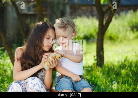 Famiglia con piccolo anatroccolo giallo in estate Park Foto Stock