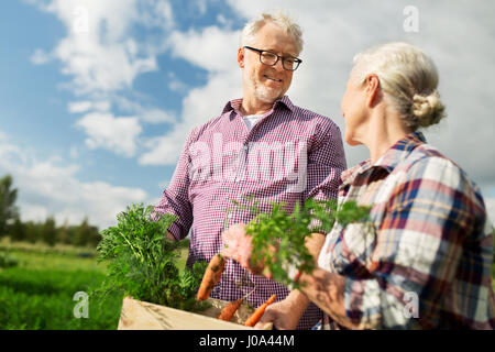 Coppia senior con scatola di carote in agriturismo Foto Stock