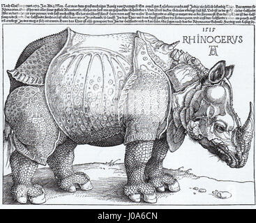 Rhinocerus xilografia (1515) Albrecht Dürer Foto Stock