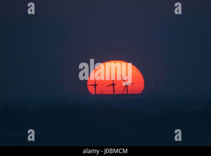 Tramonto dietro tick fen wind farm, vicino warboys, CAMBRIDGESHIRE, Regno Unito Foto Stock