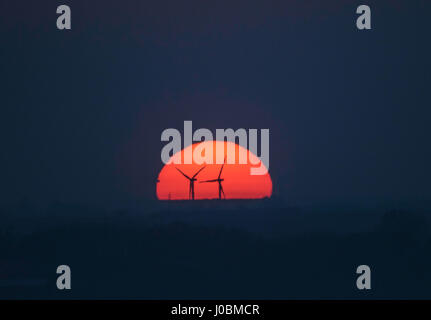 Tramonto dietro tick fen wind farm, vicino warboys, CAMBRIDGESHIRE, Regno Unito Foto Stock