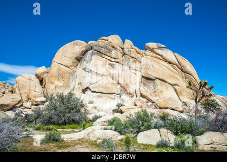 Le formazioni rocciose e il paesaggio del deserto. Joshua Tree Park Natiional ,California, Stati Uniti d'America. Foto Stock