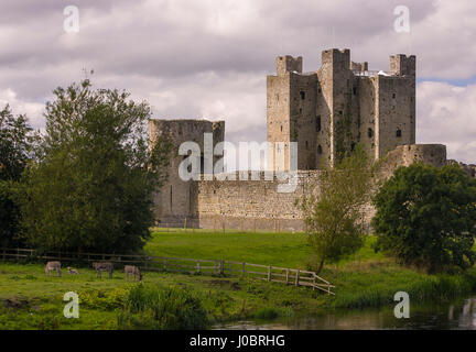 Rivestimento, nella contea di Meath, Irlanda - Castello di Trim, costruito nel 1170s, un inizio di castello normanno, è il più grande castello in Irlanda. Foto Stock