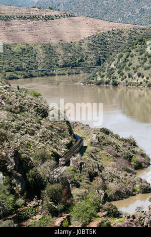 Douro via treno, nella valle del Douro. Portogallo Foto Stock