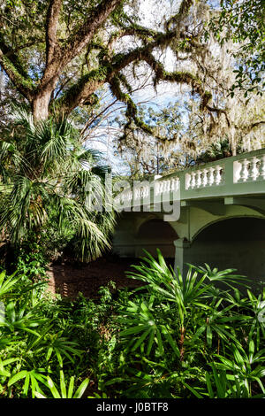 Orlando, Florida, H. Parco di H. Dickson Azalea, punto di riferimento storico, progetto WPA, paesaggio, giardino, ponte, vegetazione, quercia viva, FL170222168 Foto Stock