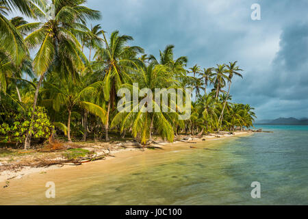 Splendida spiaggia orlata di palme, Achutupu, isole San Blas, Kuna Yala, Panama America Centrale Foto Stock