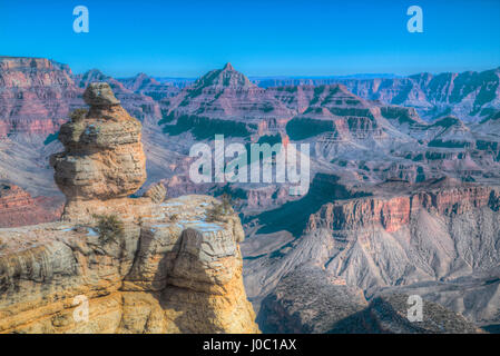 Duck Rock, Rim Grand Canyon National Park, sito Patrimonio Mondiale dell'UNESCO, Arizona, Stati Uniti d'America Foto Stock