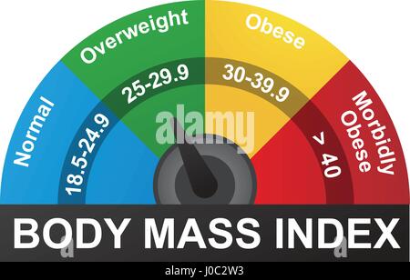 BMI o indice di massa corporea ed infografico grafico Illustrazione Vettoriale