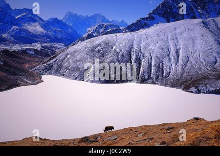 Preso dalla vetta del Gokyo Ri in Himalaya, Nepal durante il Trekking da Lukla a Tokyo ad una altitudine di 4970m Foto Stock