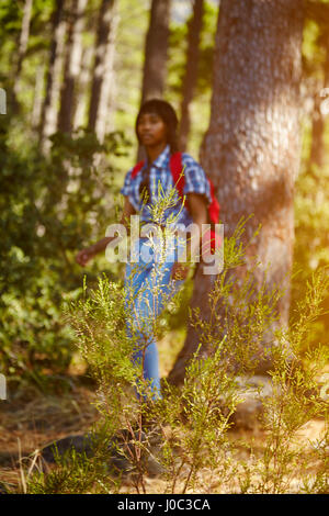 Giovane donna, escursionismo attraverso la foresta, Cape Town, Sud Africa Foto Stock