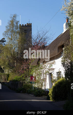 Cani nel retro del Gator nella frazione di Butts,Dunsford nella valle Teign,Dunsford,Parco Nazionale di Dartmoor,edificio residenziale, bellezza, Cottage, Devon Foto Stock