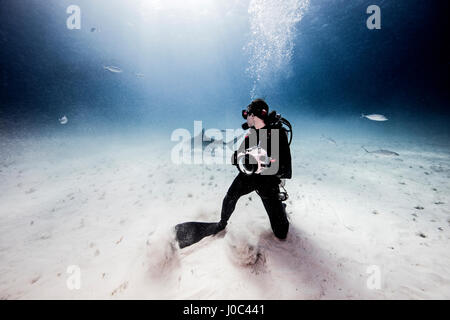 Vista subacquea femminile di fotografo subacqueo, guardando indietro dal fondale marino Foto Stock