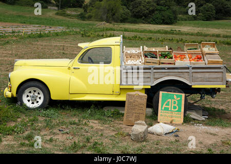 Gli agricoltori, verdura venduti direttamente dal campo, Tourtour, Var, Provence-Alpes-Côte d'Azur, in Francia Foto Stock