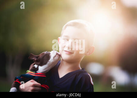 Boston Terrier cucciolo leccare ragazzo del viso Foto Stock