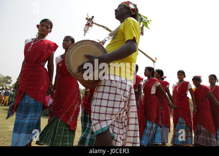 Donne tribali dancing, uomo suona tamburi, birbhum festival, West Bengal, India, Asia Foto Stock