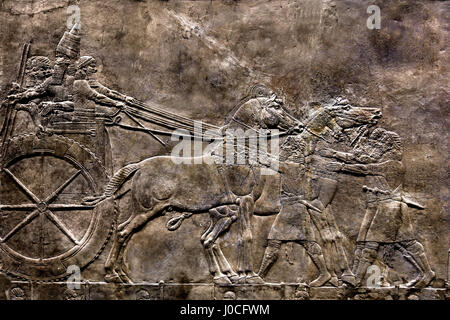Il leone reale di caccia di re Assurbanipal dal Palazzo Nord di Ninive 645-635 BC Mesopotamia Iraq Assiria ( Re Assurbanipal o Ashshurbanipal, figlio di Esarhaddon e l'ultimo forte re dell'Impero Neo-Assyrian (934-609 BC ) dettaglio Foto Stock