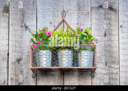 Fiori appesi in vasi metallici montati a parete Foto Stock