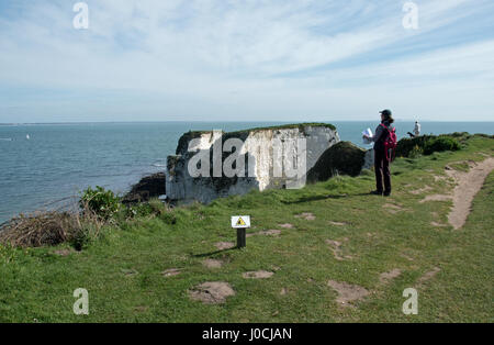 Old Harry Rocks, Studland Bay, Dorset Foto Stock