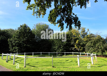 Estate, il labirinto di tappeto erboso al Villaggio Ala, Rutland County, England, Regno Unito Foto Stock