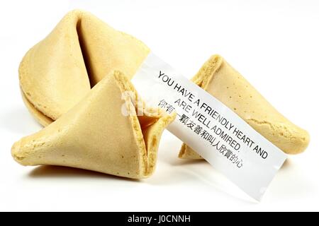 Fortune Cookie isolati su sfondo bianco Foto Stock